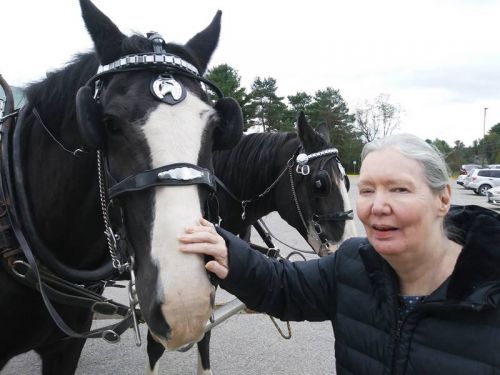 Pine Meadow resident Hollie Kennedy pets the horses from High View Farms